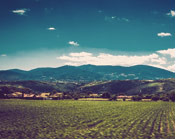 云呼电话测压网页版